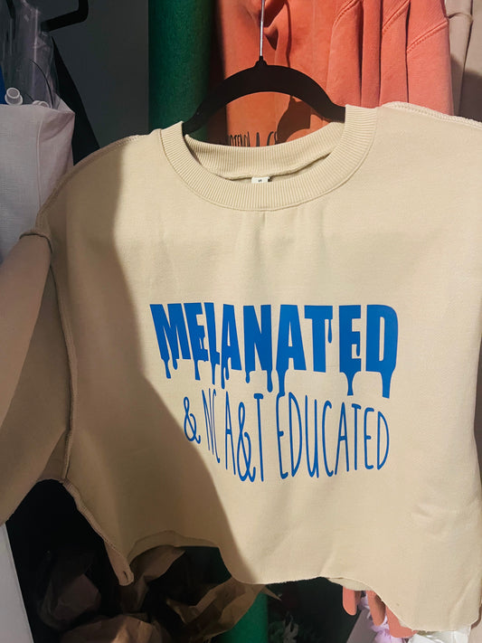 Melanated & NC A&T Educated Crop Top Sweater