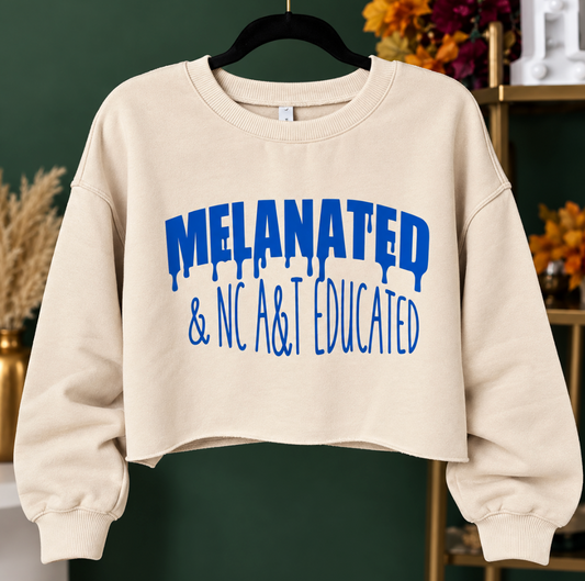 Melanated, NC A&T Educated Crop Top Sweater